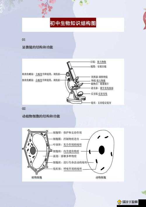 我成了生物课的教具篇 1：探索生命奥秘的奇妙旅程